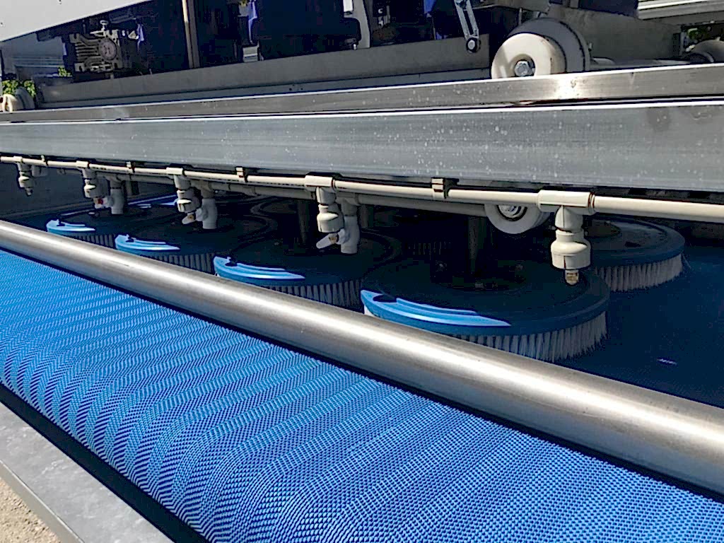 ankaradaki-hali-yakamacilar